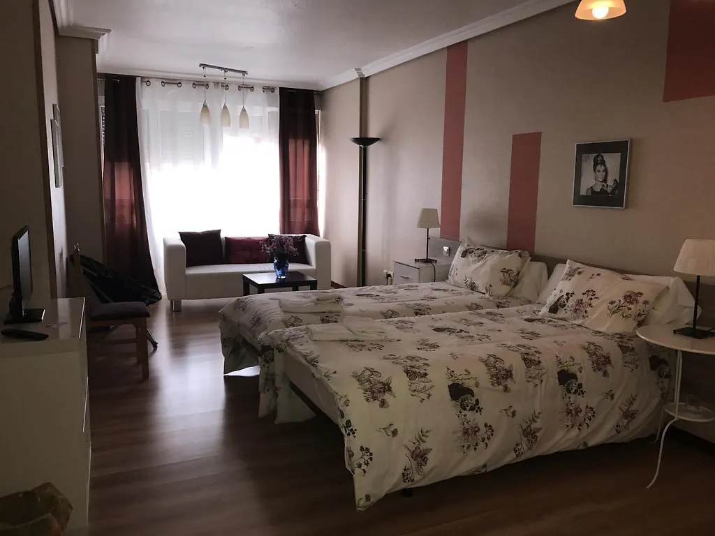 بيت ضيافة Alojamientos Olga بنبلونة